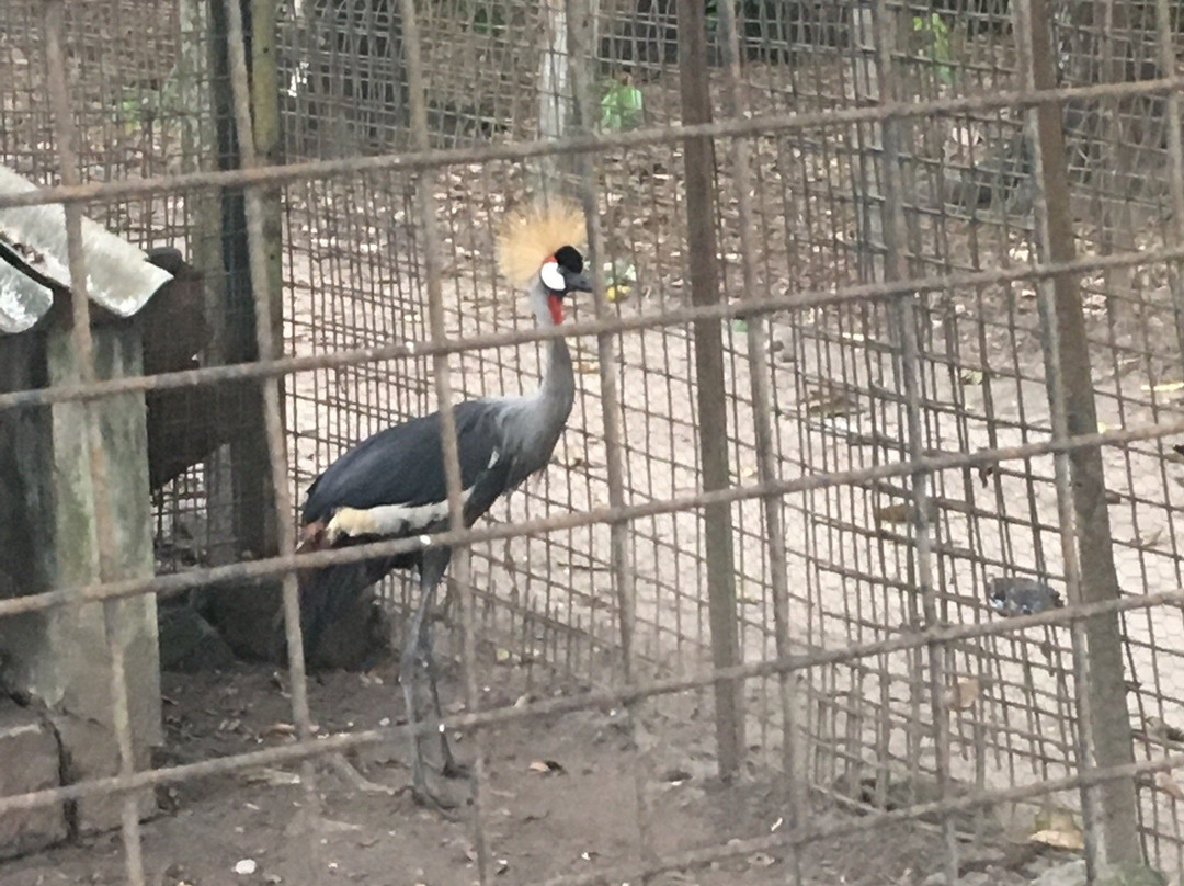 Jardin Zoologique景点图片