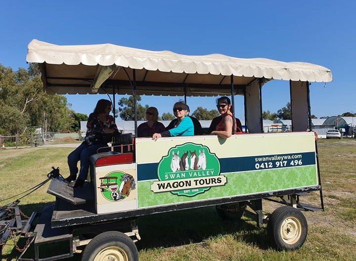 Swan Valley Wagon Tours景点图片