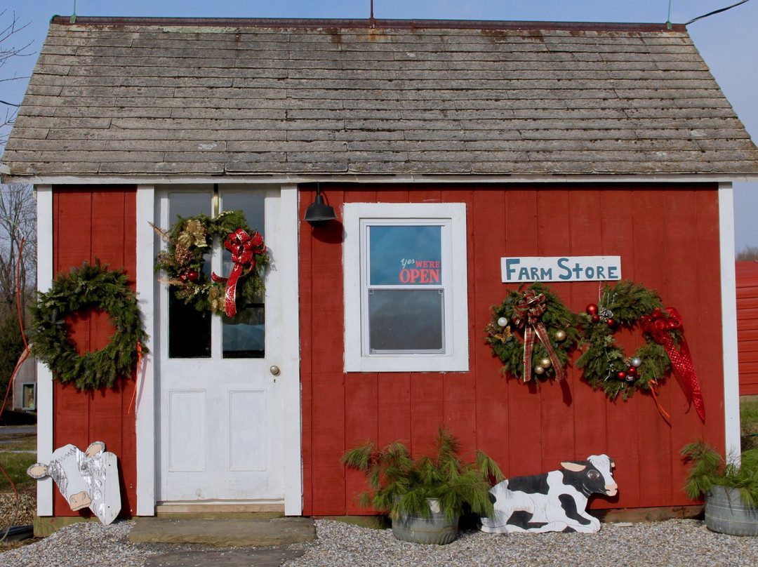 Dover Plains旅游景点-Brookby Farm