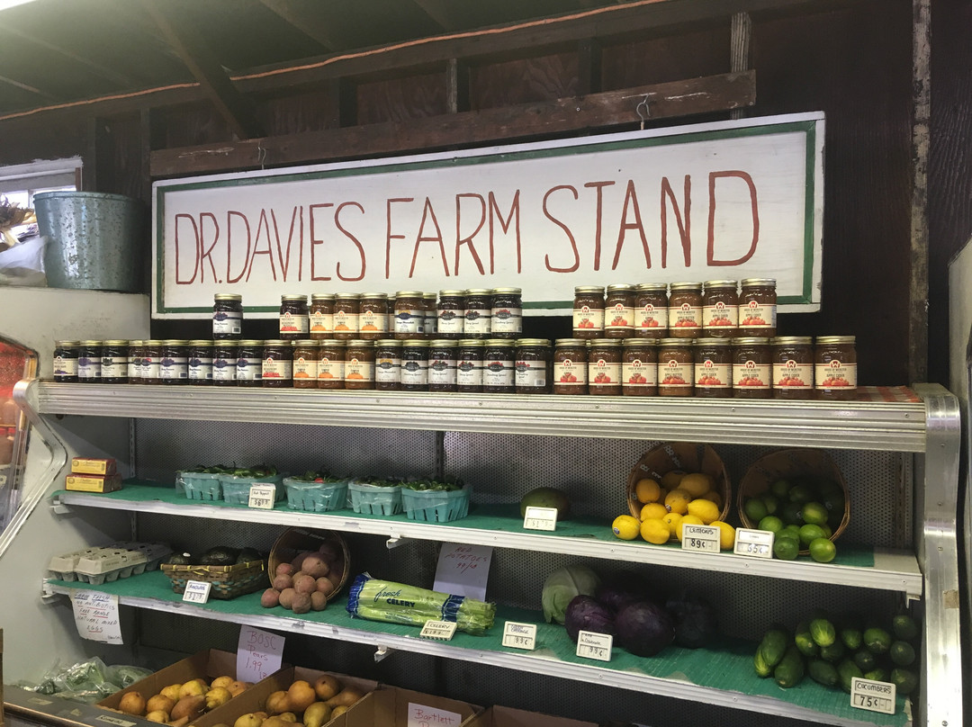 Dr. Davies Farm-Congers必去景点