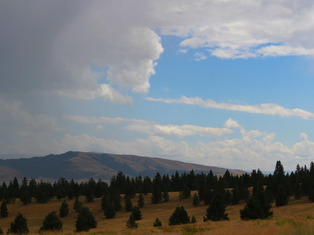 Blue Mountain Recreational Area