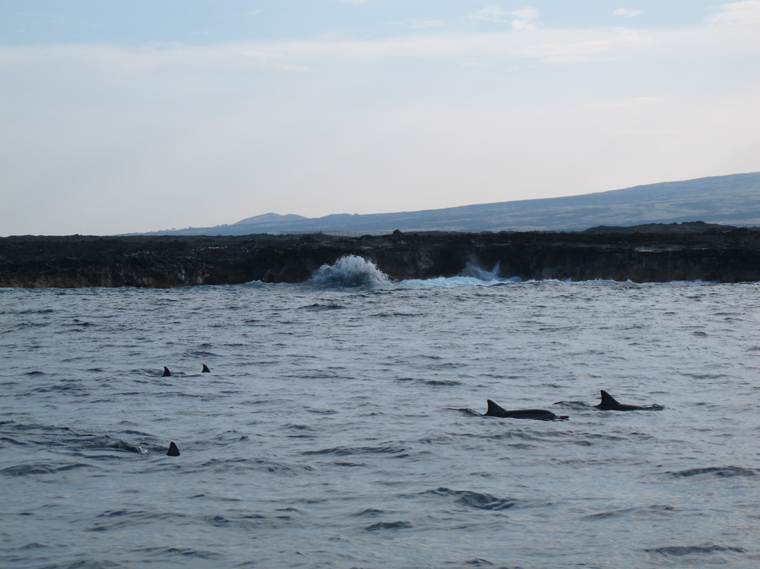 Adventure X Boat Tours-卡慕也拉必去景点