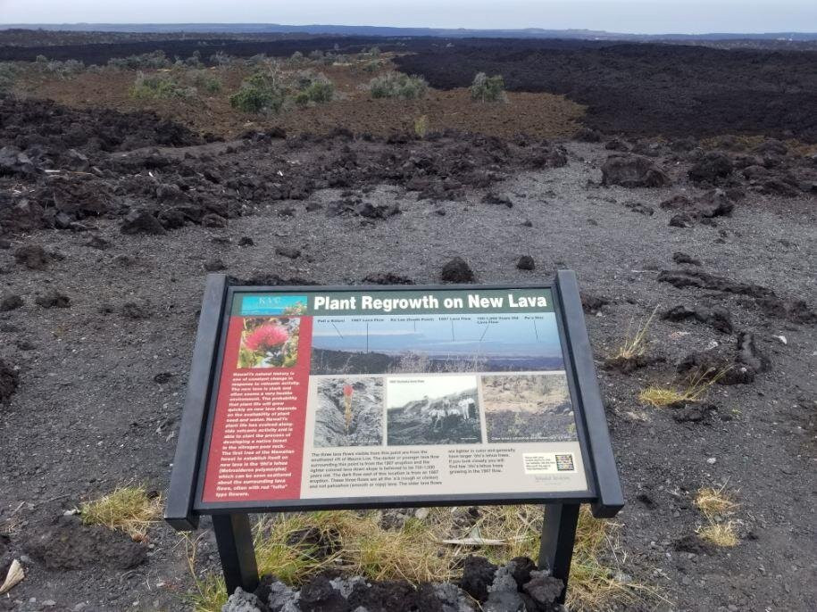 Southern Point Lookout