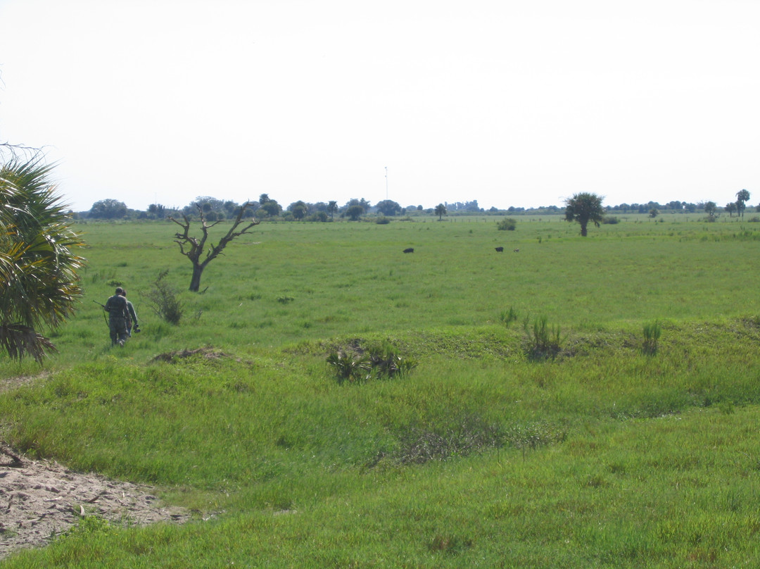 Everglades Adventures-克莱维斯顿必去景点