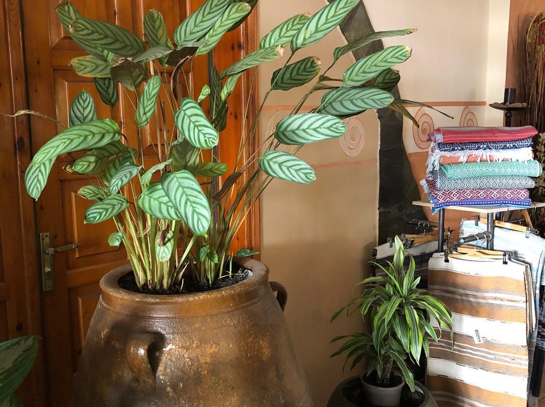 Aretoussa Pension主图