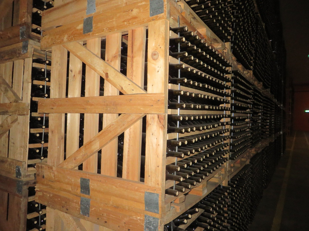 Bodegas Montecillo-Navarrete必去景点