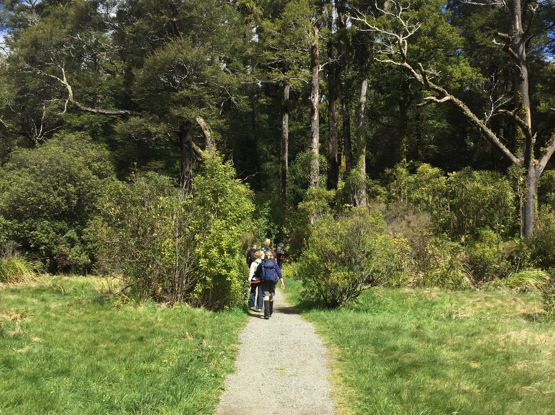 Powell Hut & Mount Holdsworth Track景点图片