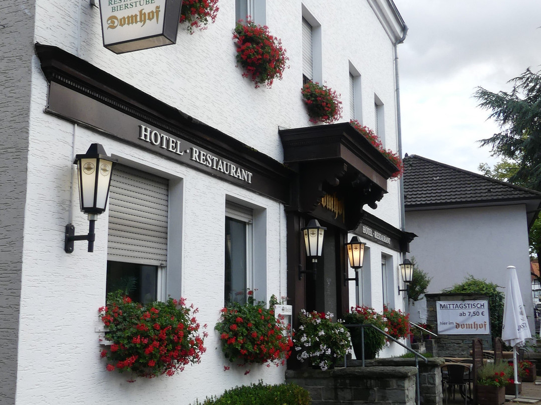 Hotel Domhof主图