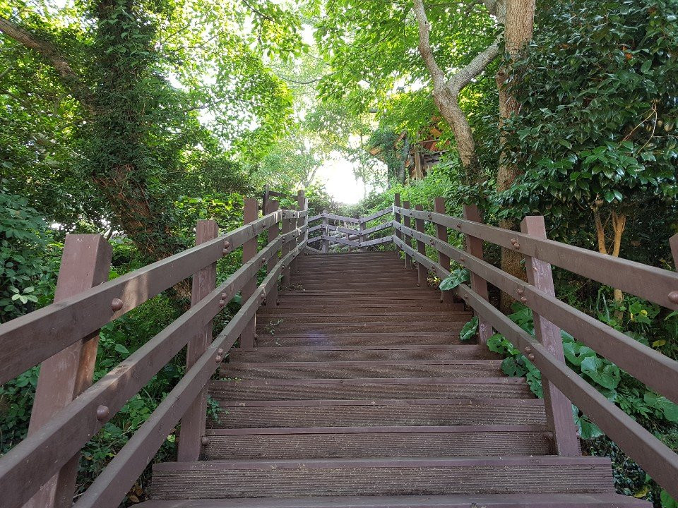 Wando Cheonghaepogu Shooting Range-莞岛郡必去景点