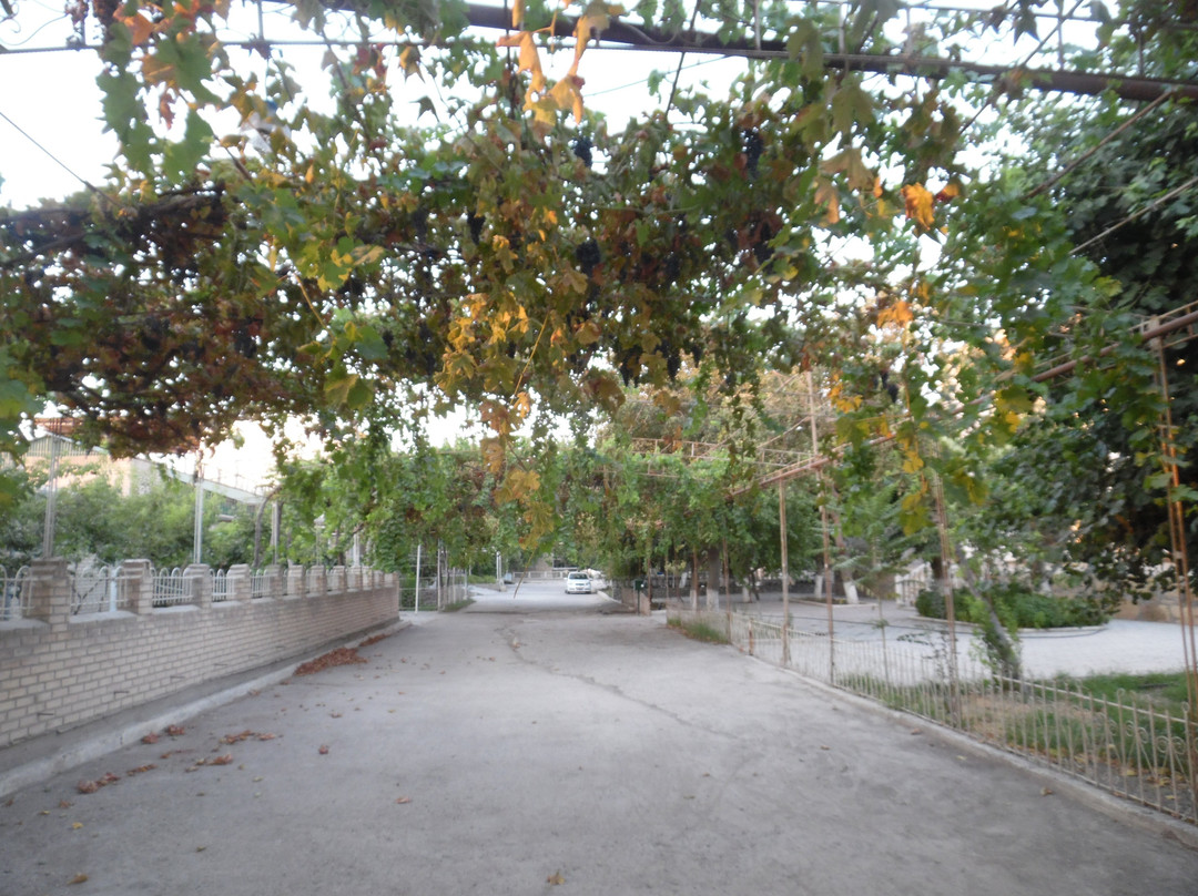 Balyand Mosque-布哈拉必去景点