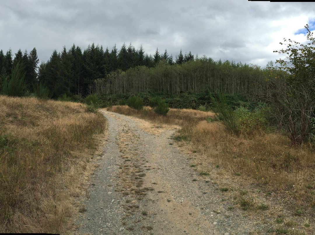 Maple Valley旅游景点-Black Diamond Natural Area