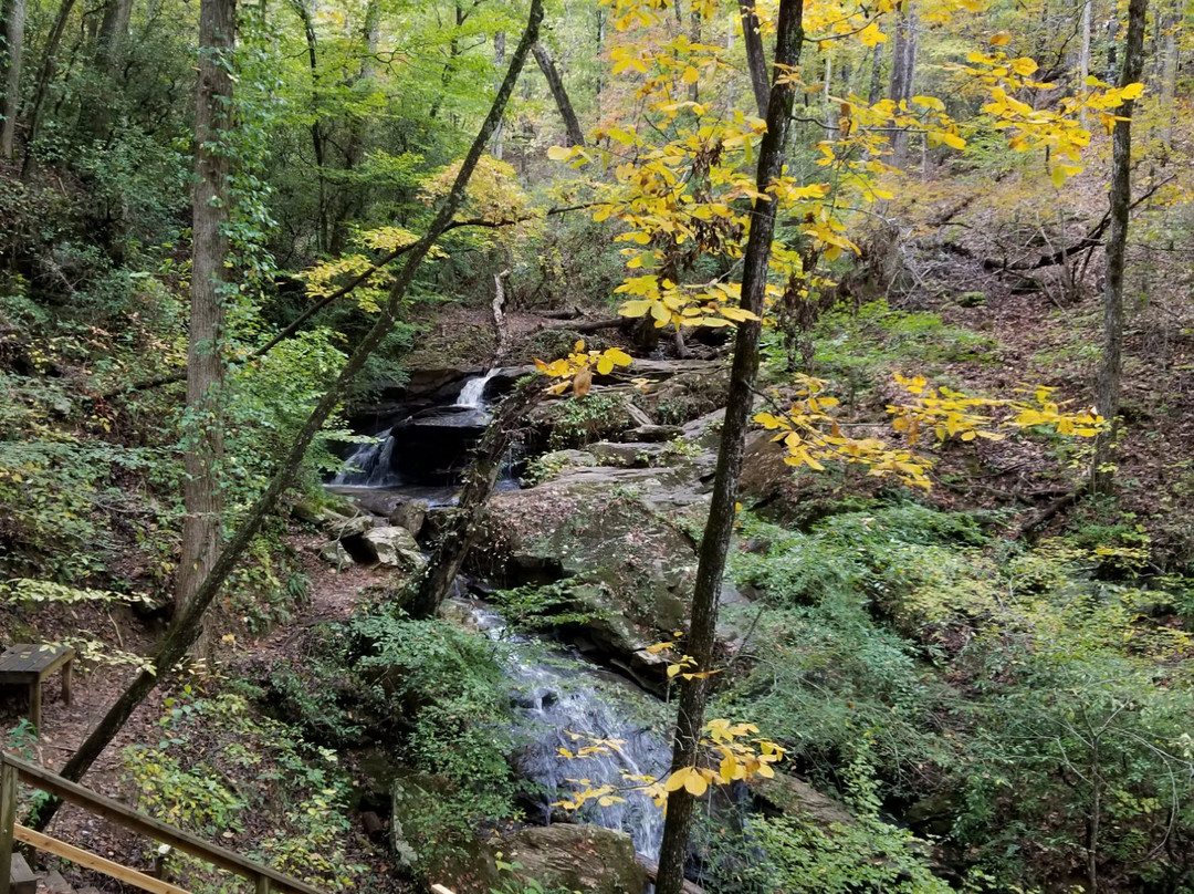 Waldrop Stone Falls-Central必去景点