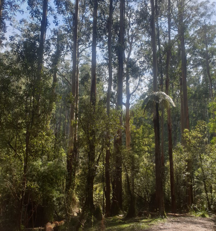 Grants Picnic Ground景点图片