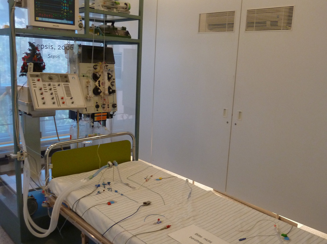 Berlin Museum of Medical History of the Charite-柏林必去景点