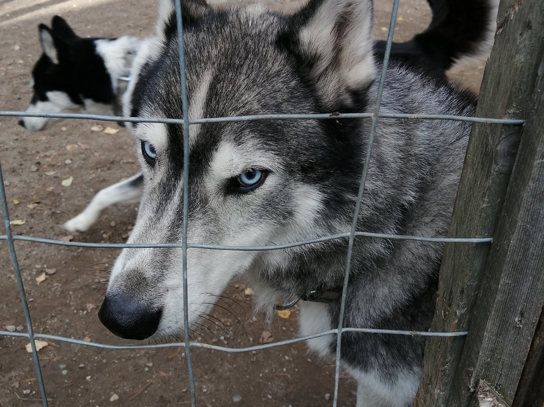 Routa Travel-Kuhmo必去景点