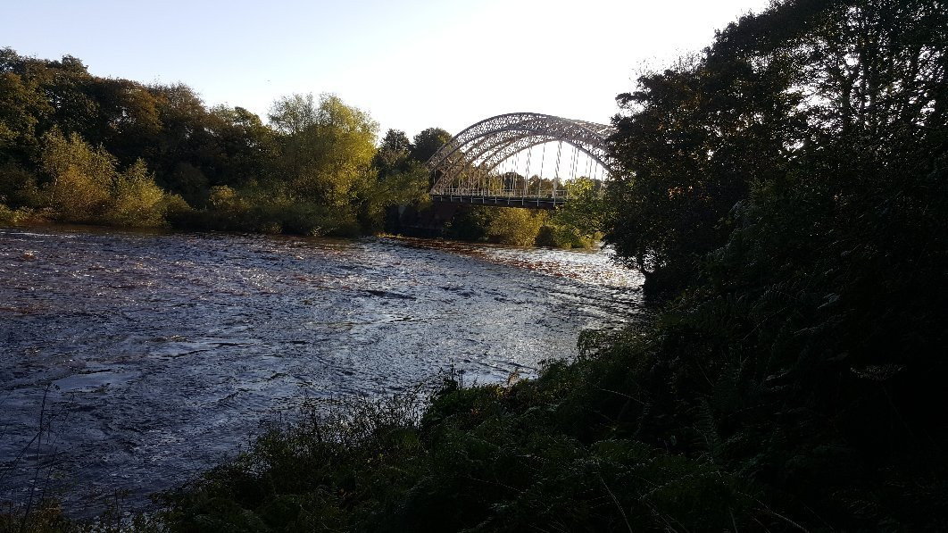 Hagg Bank Bridge-Wylam必去景点