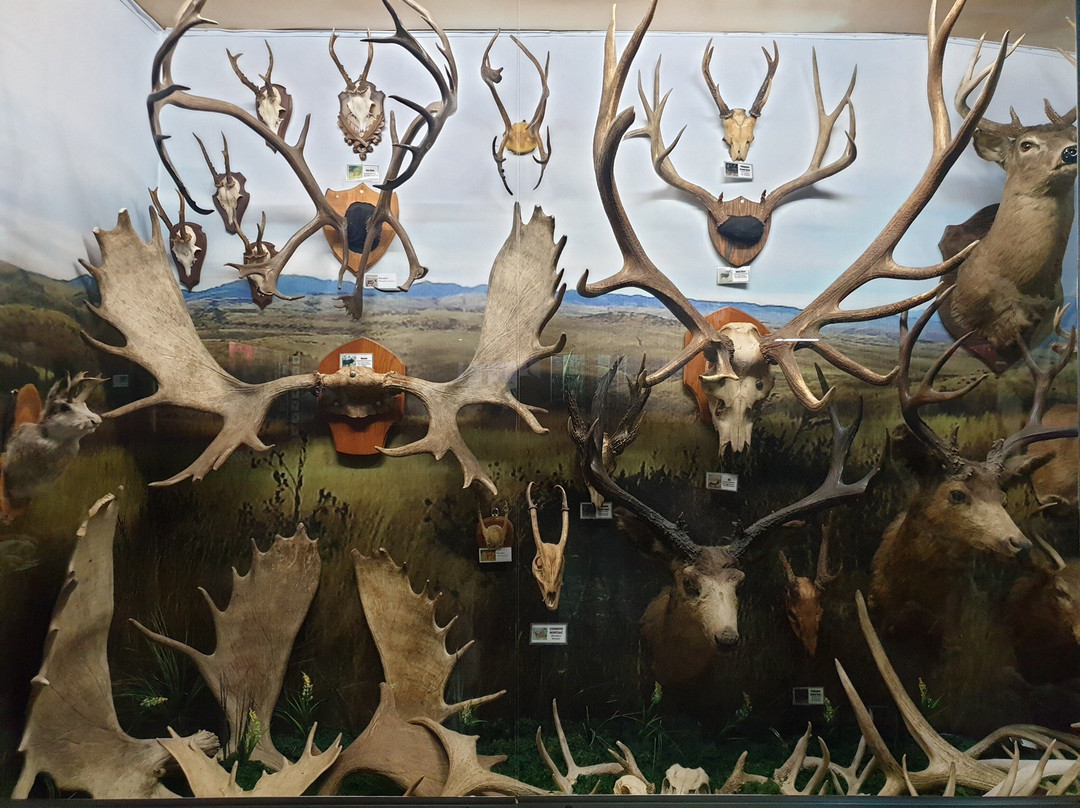 D' Bone Collector Museum-达沃必去景点