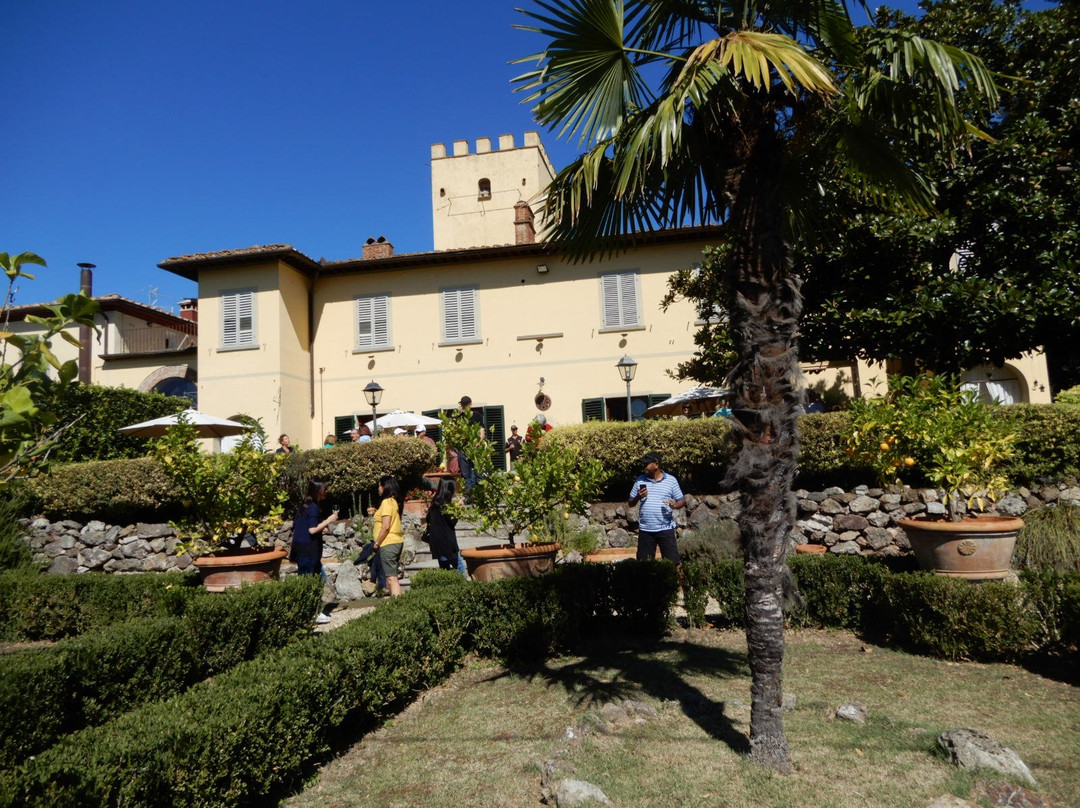 Agriturismo Villa il Leccio主图