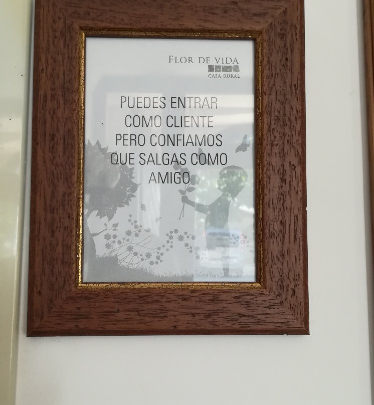 La Flor De La Vida主图