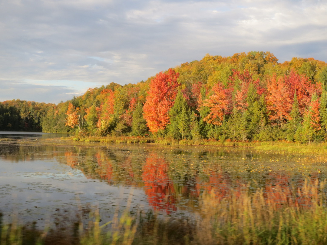 Timm's Hill County Park-Ogema必去景点