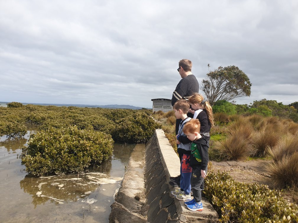 Toora Bird Hide-Toora必去景点