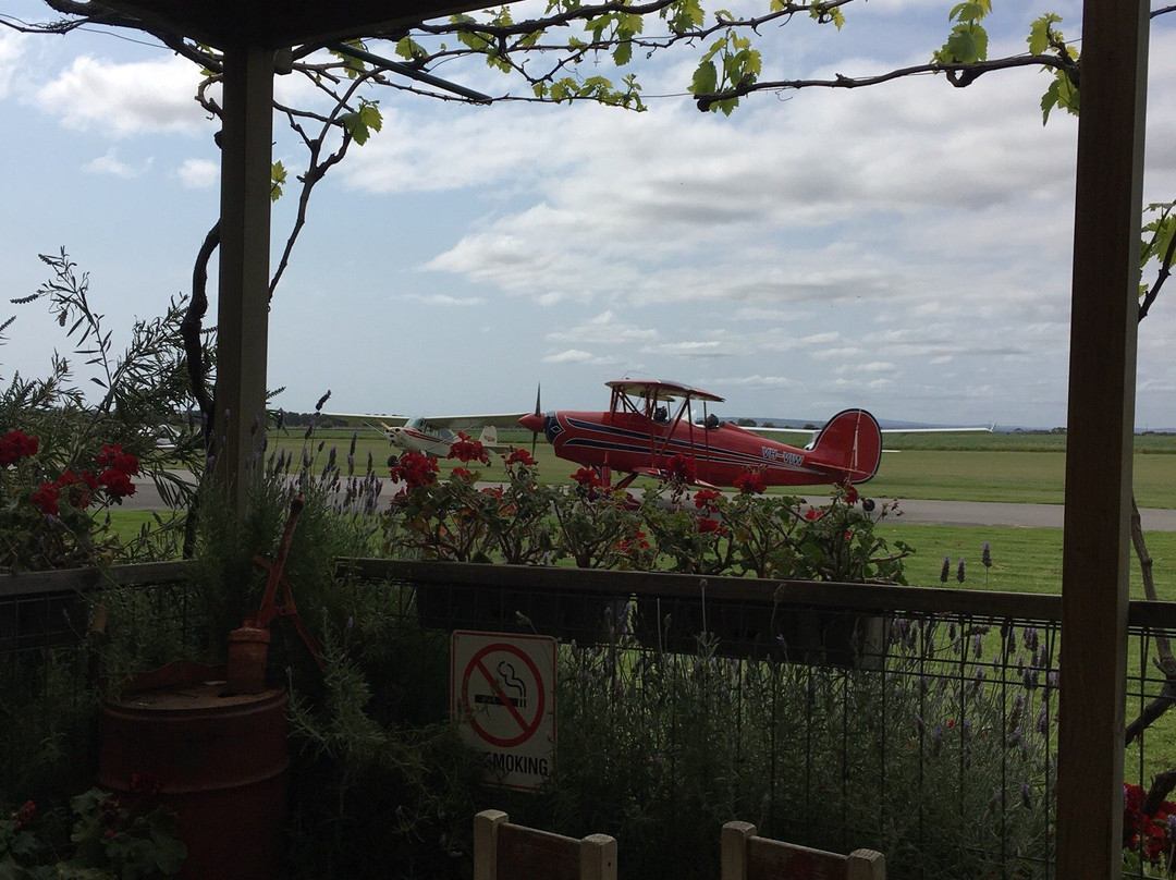Adelaide Biplanes - Day Tour景点图片