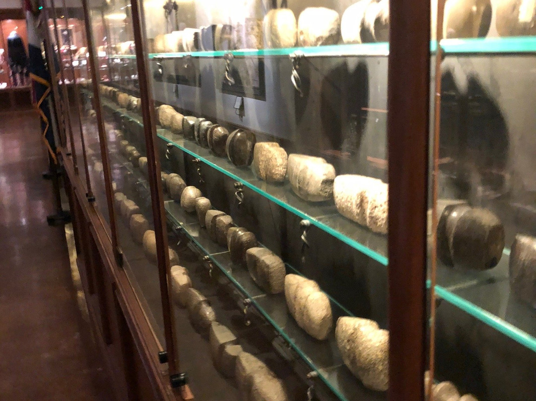 Ancient Ozarks Natural History Museum-Ridgedale必去景点