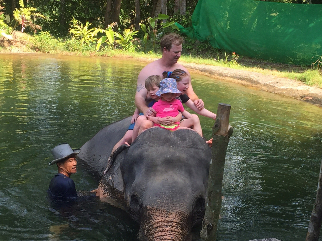 Tongdee Elephant Camp-Bang Muang必去景点