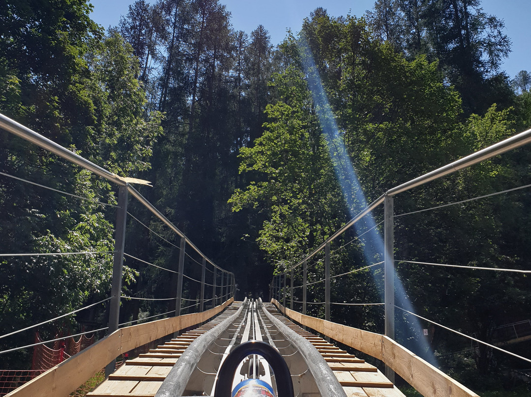 Bardonecchia Alpine Coaster景点图片