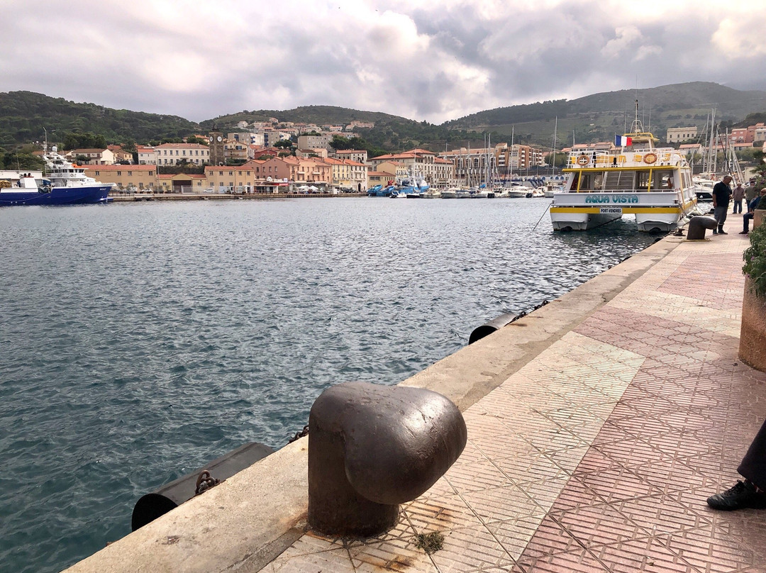 Les Poissonneries de la Côte Catalane景点图片