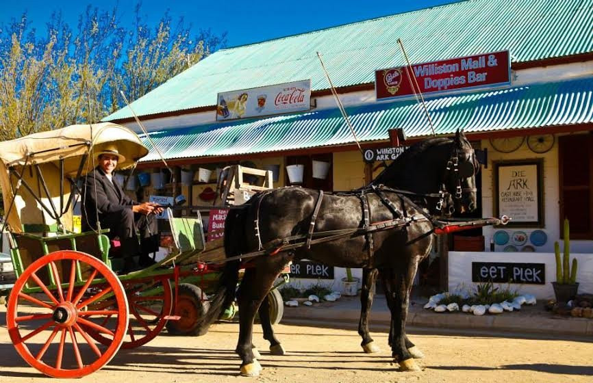 Williston Mall-Williston必去景点