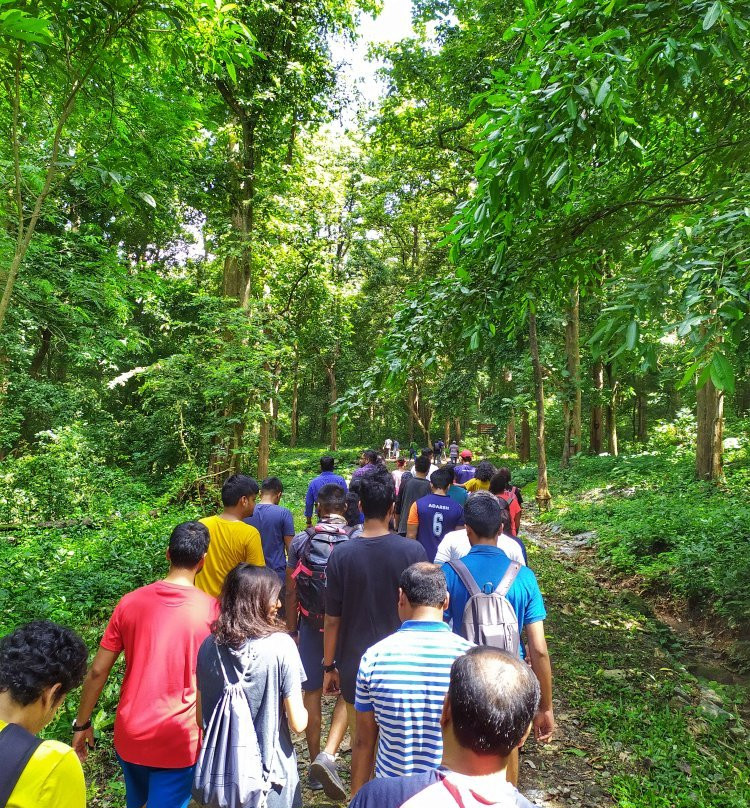 Dhoni Waterfalls-Palakkad必去景点