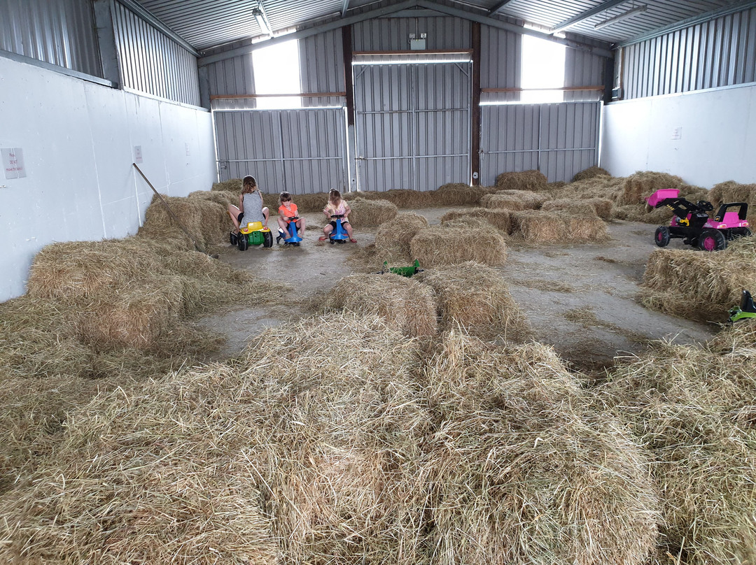 Tearaways Pet Farm & Activity Centre-蒂珀雷里必去景点