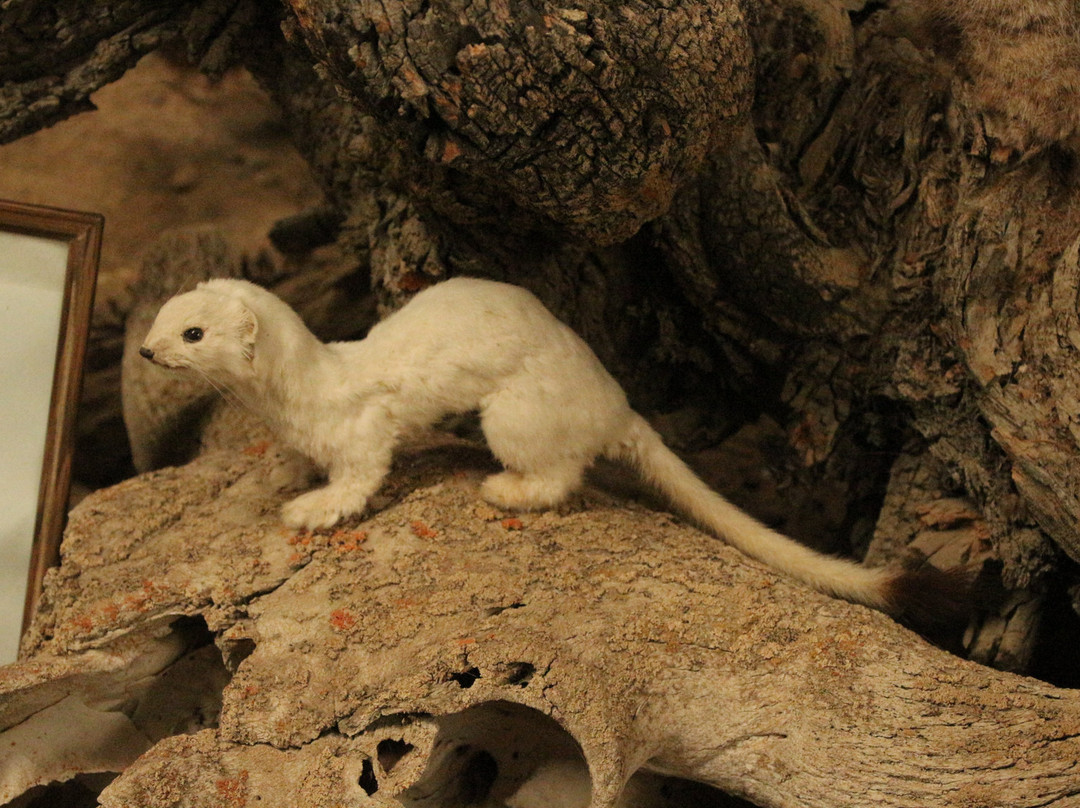 Wind River Heritage Center-Riverton必去景点