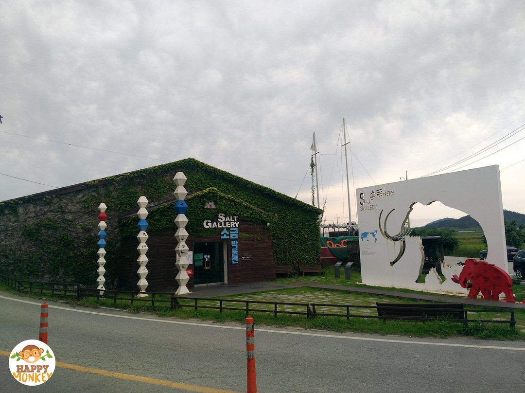 Taepyeong Salt Field-新安郡必去景点