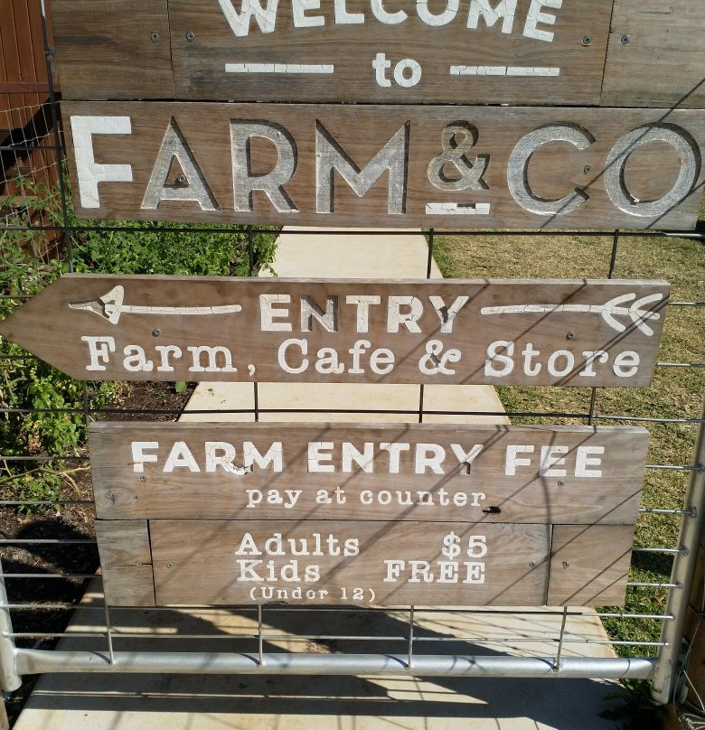 Farm & Co景点图片