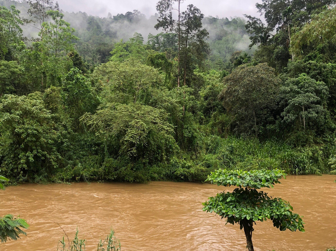 Sinharaja Vini Villa主图