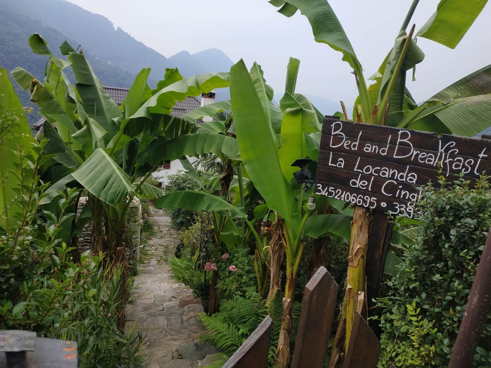 B&B La Locanda del Cinghiale-浴室