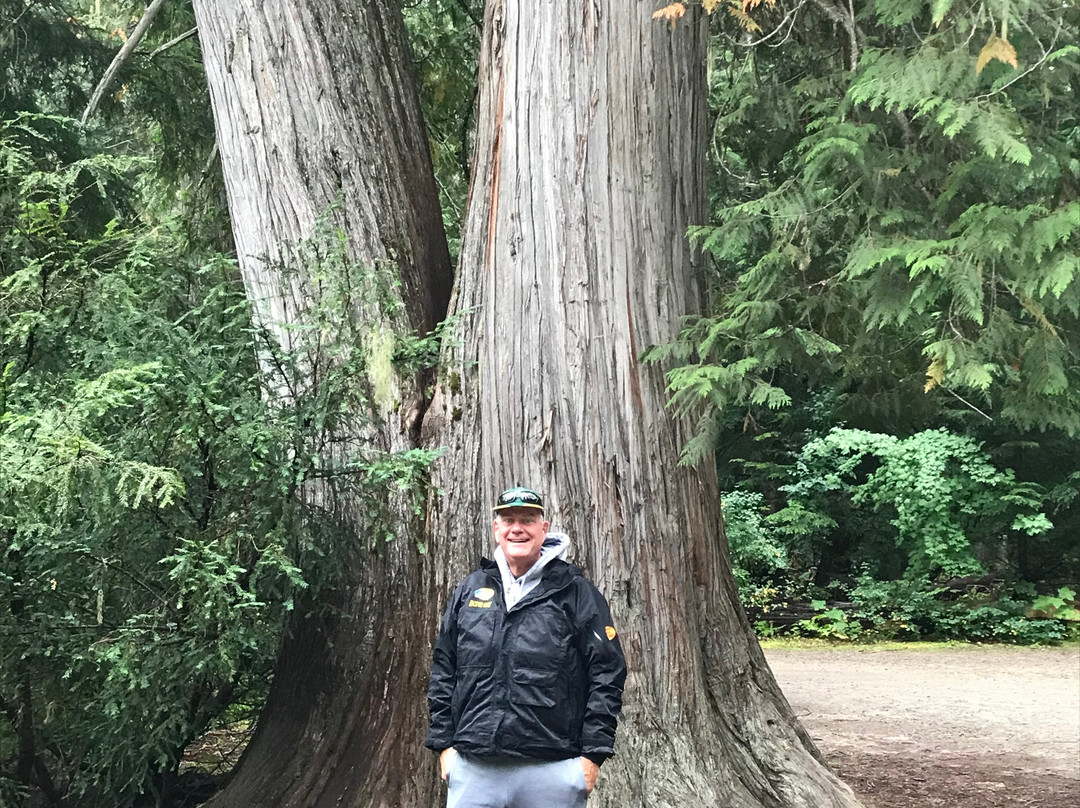 Roosevelt Grove of Ancient Cedars-Nordman必去景点
