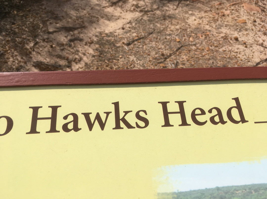 Hawk's Head Lookout景点图片