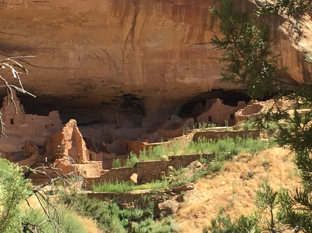 Long House-梅萨维德国家公园必去景点