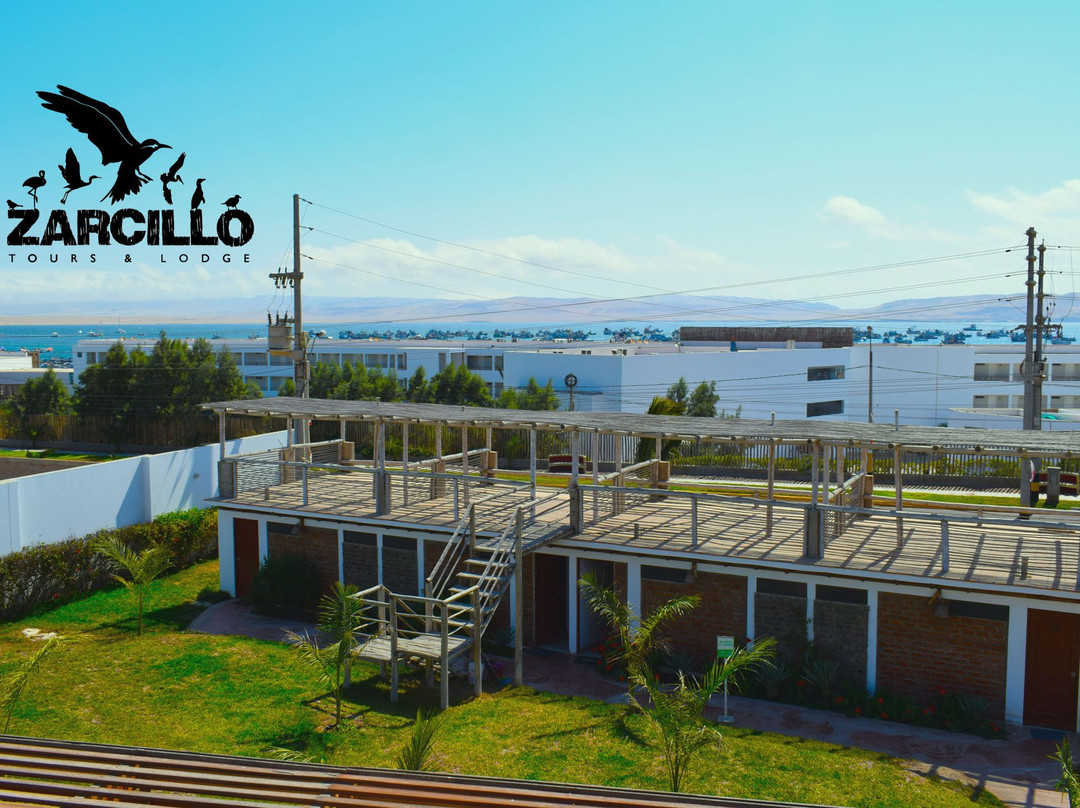 Zarcillo Paradise主图