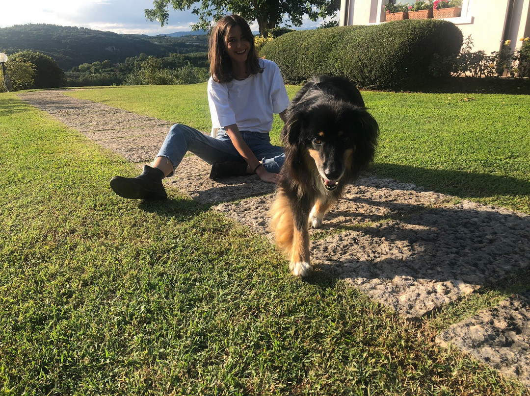 B&B Villa Beatrice主图