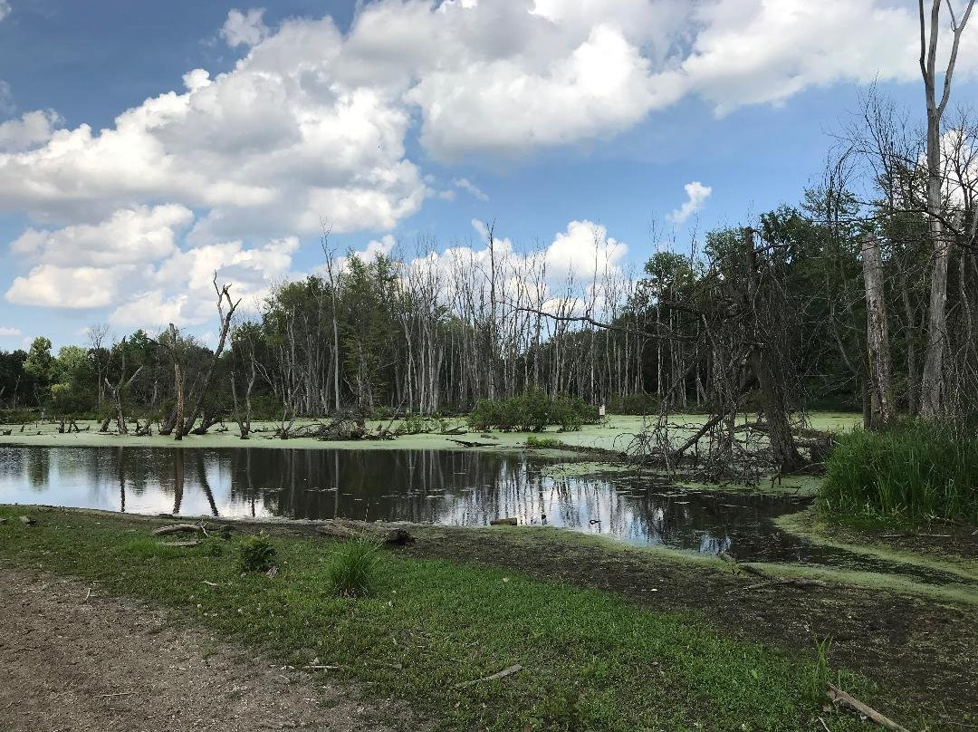 Eagle Marsh Nature Preserve景点图片