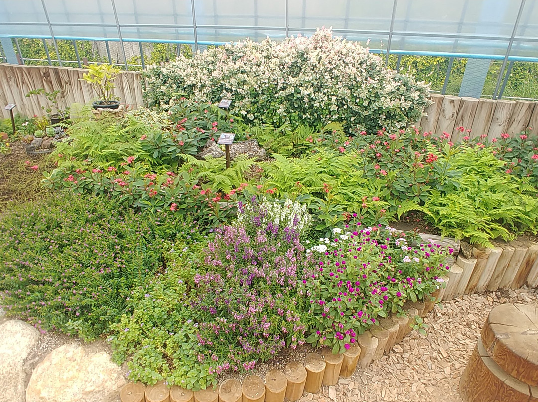 Sungnam Botanical Garden-城南市必去景点