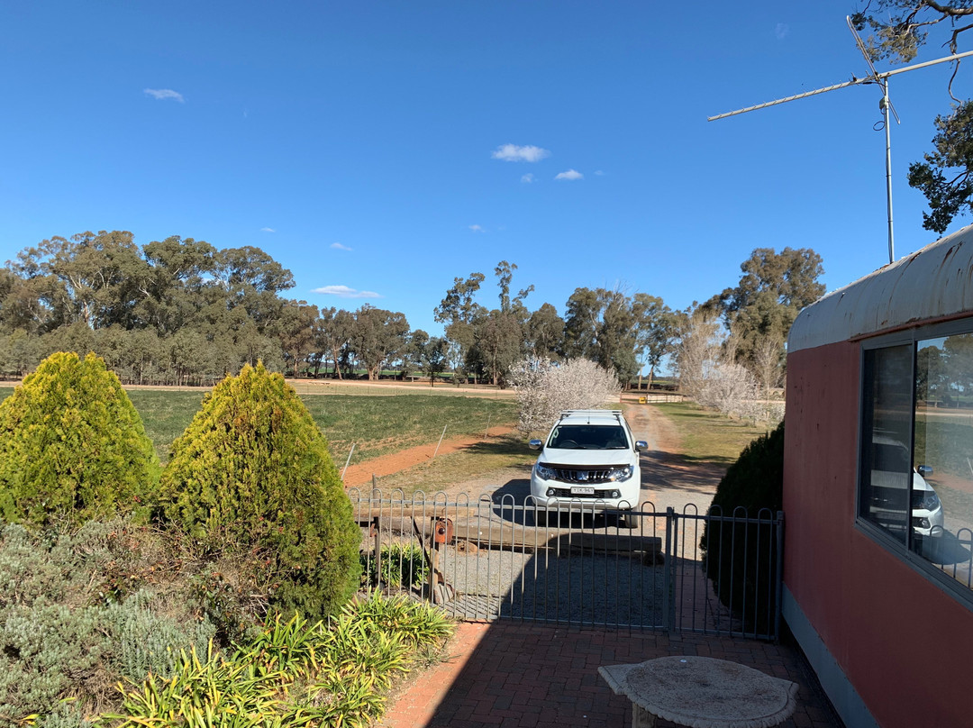 Country Carriage Bed & Breakfast主图