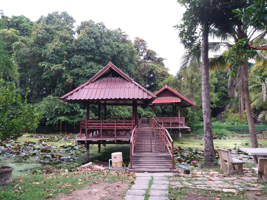 Baan Lotus Guest House