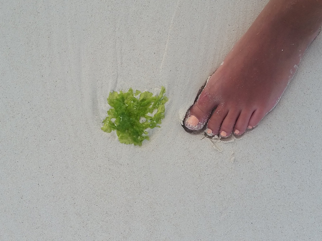 Baobab Sea Lodge主图