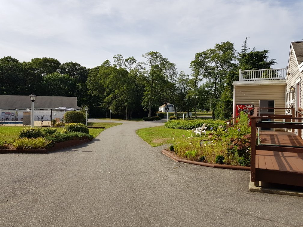 Viking Shores Motor Inn主图