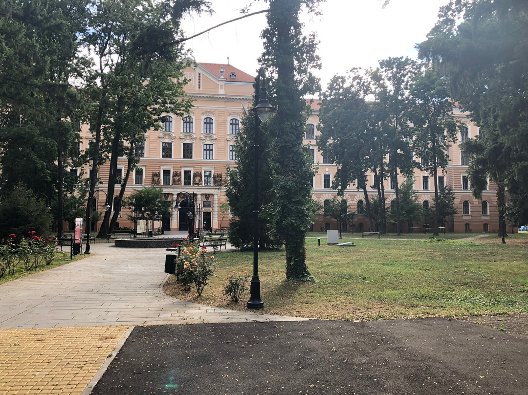 The Criș Country Museum-拉迪亚必去景点